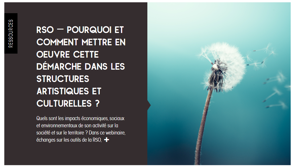 Webinaire « La RSO, pourquoi et comment mettre en œuvre cette démarche dans les structures artistiques et culturelles ? »